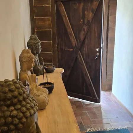 Hostel Havana